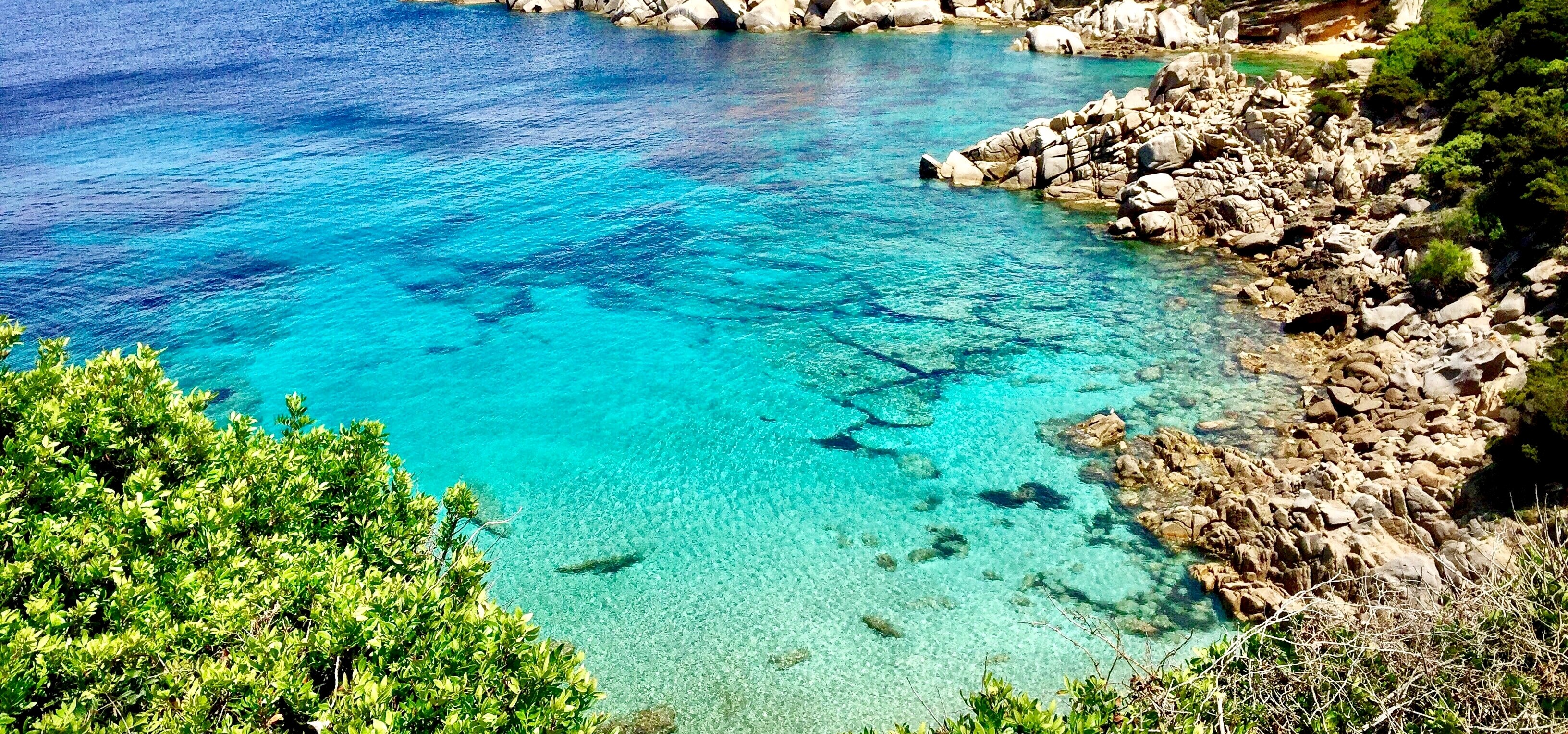 Le scelte green di De Impianti Piscine | POOL MOSS